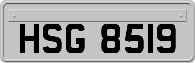 HSG8519