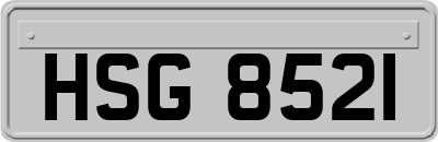 HSG8521