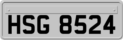 HSG8524