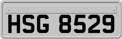 HSG8529