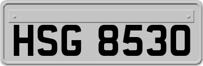 HSG8530