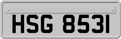 HSG8531