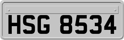 HSG8534