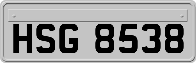 HSG8538