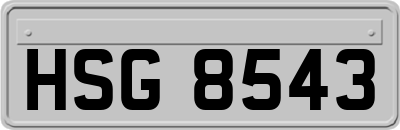 HSG8543