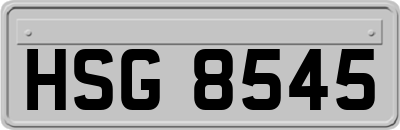 HSG8545