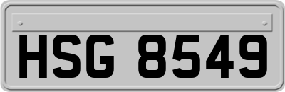 HSG8549