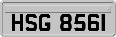 HSG8561