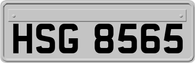 HSG8565