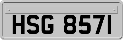 HSG8571