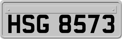 HSG8573