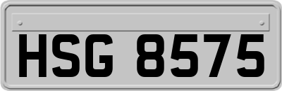 HSG8575