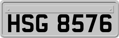 HSG8576