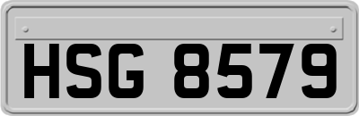 HSG8579