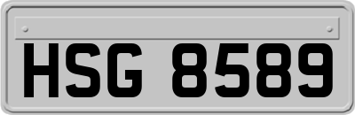 HSG8589
