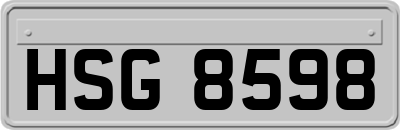 HSG8598