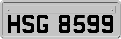 HSG8599
