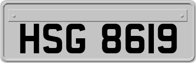 HSG8619