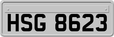 HSG8623