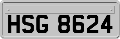 HSG8624