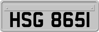 HSG8651