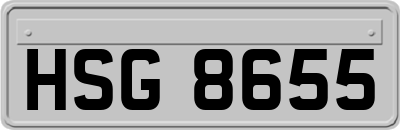HSG8655