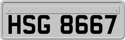 HSG8667