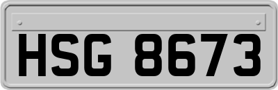 HSG8673