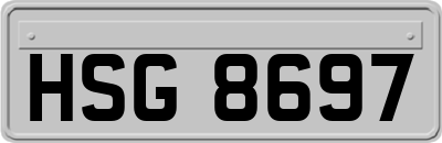 HSG8697