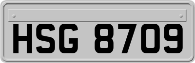HSG8709