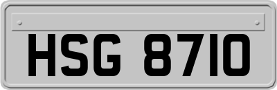 HSG8710