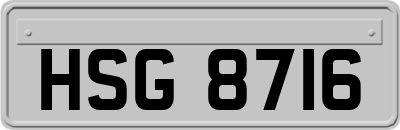 HSG8716
