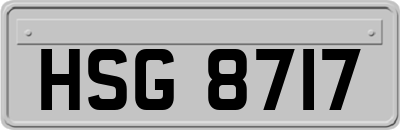 HSG8717