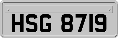 HSG8719