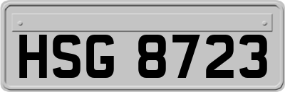 HSG8723