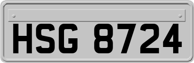 HSG8724