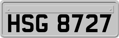 HSG8727