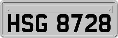 HSG8728