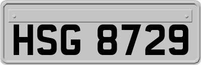 HSG8729