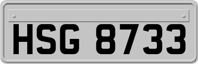 HSG8733