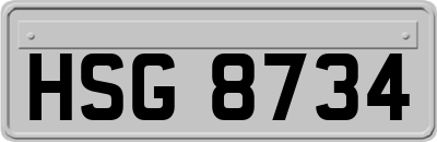 HSG8734