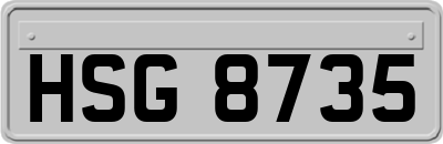 HSG8735