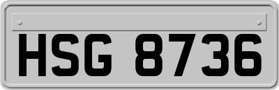 HSG8736