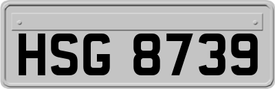 HSG8739