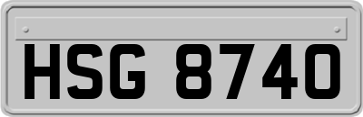 HSG8740