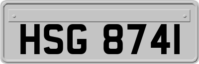 HSG8741