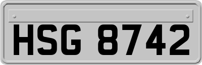 HSG8742