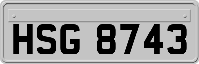 HSG8743