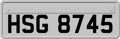HSG8745
