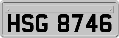 HSG8746